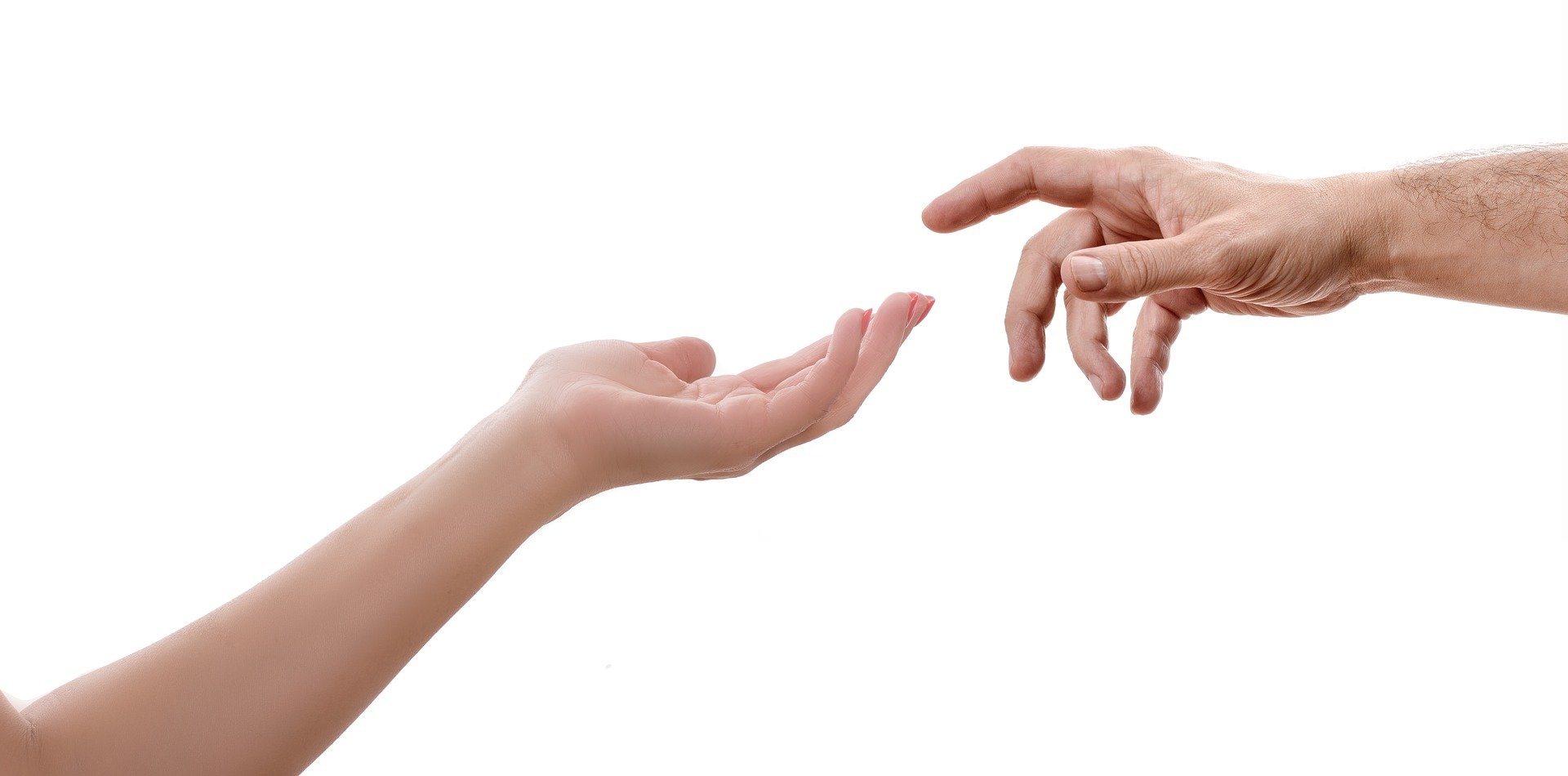 “At First Hand” 손수, 직접 – OWL Dictionary